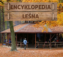 ENCYKLOPEDIA LEŚNA